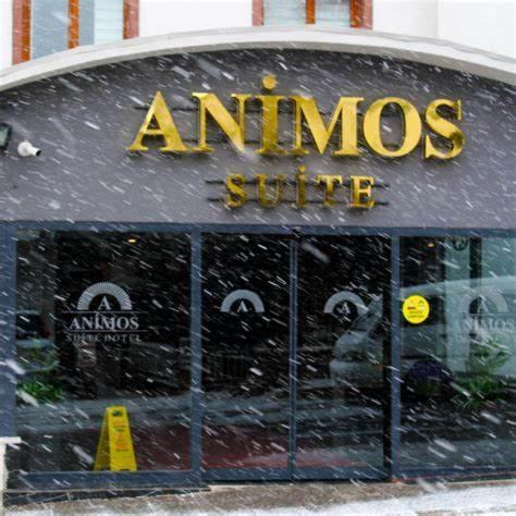 Animos Butik Otel Άγκυρα Εξωτερικό φωτογραφία